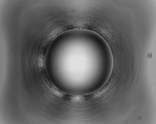 X0000099410432200805091223