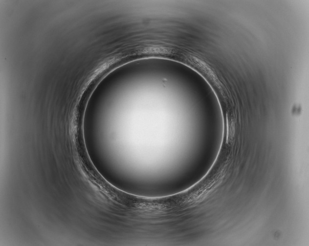 X0000099410435200805091223
