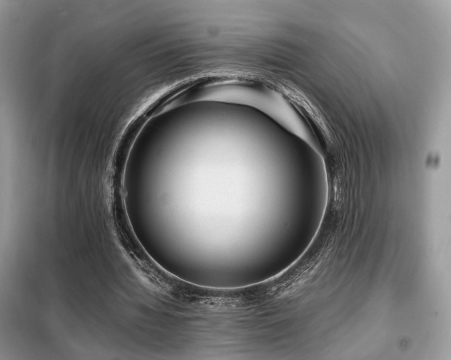 X0000099410436200805091223