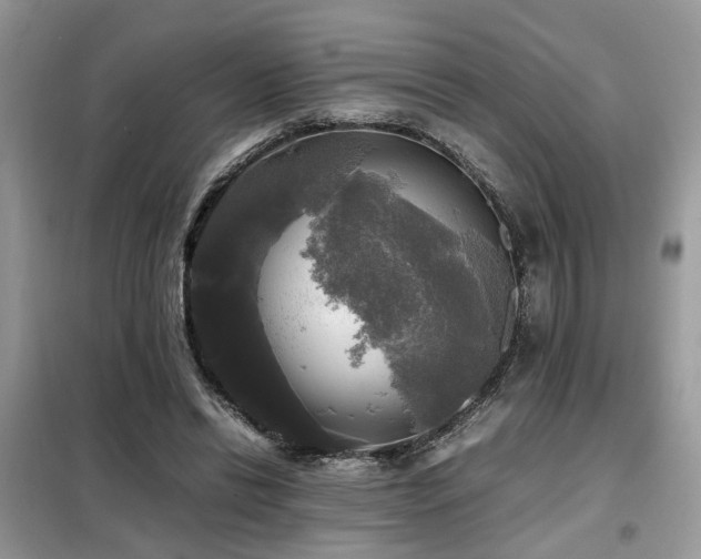 X0000099410446200805091223