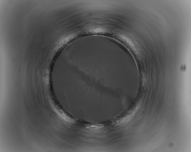 X0000099410447200805091223
