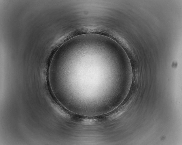 X0000099410450200805091223