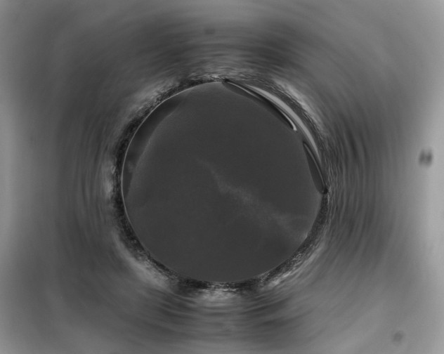 X0000099410451200805091223