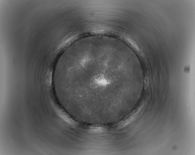 X0000099410454200805091223