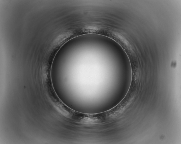X0000099410455200805091223