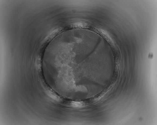 X0000099410457200805091223