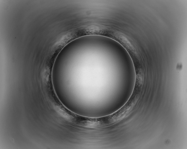 X0000099410458200805091223