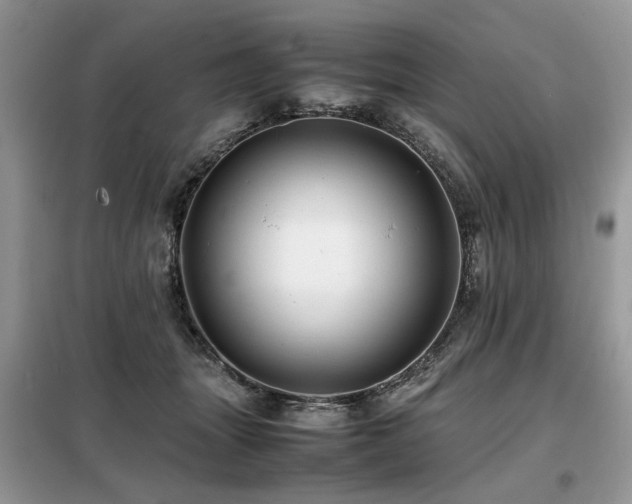 X0000099410463200805091223