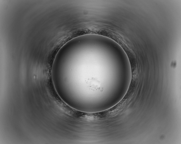 X0000099410464200805091223
