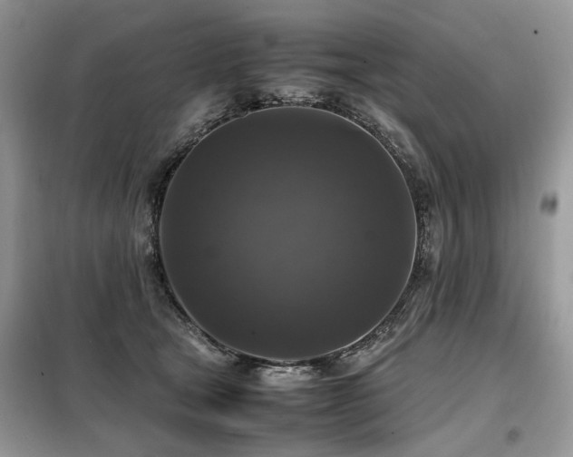 X0000099410465200805091223