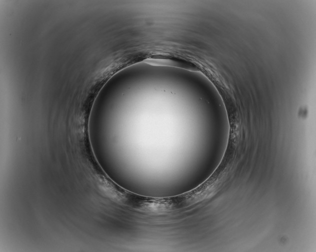 X0000099410466200805091223