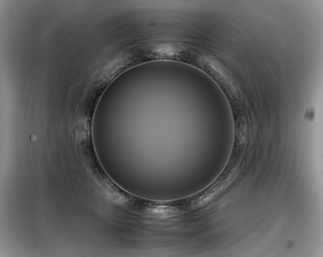 X0000099410467200805091223