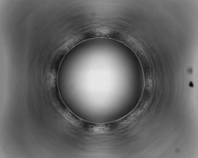 X0000099410468200805091223