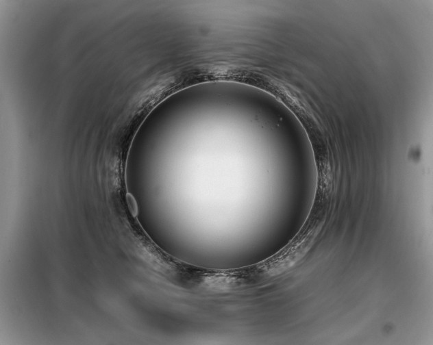 X0000099410470200805091223