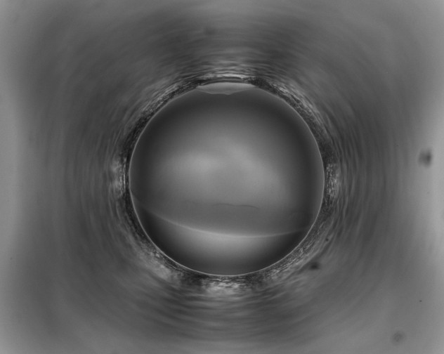 X0000099410471200805091223