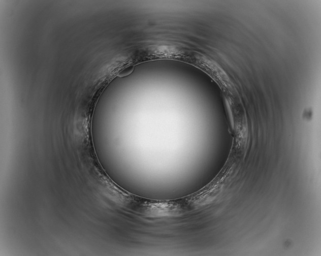 X0000099410473200805091223