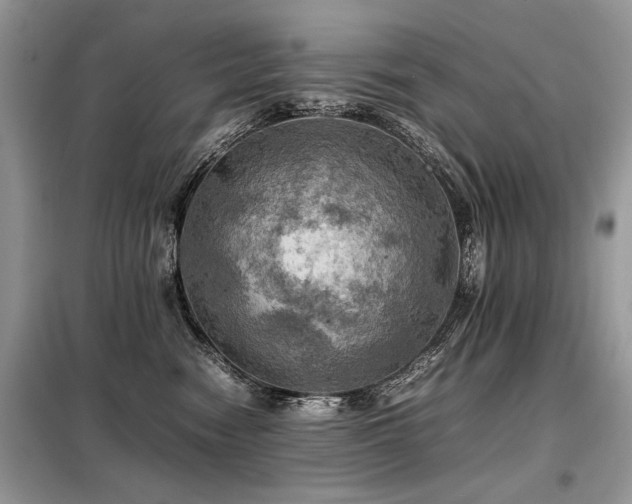 X0000099410474200805091223