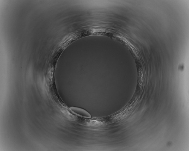 X0000099410475200805091223