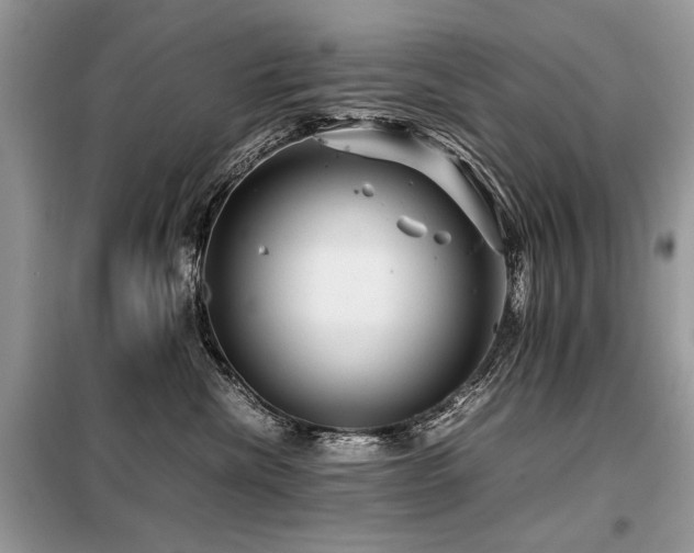 X0000099410476200805091223