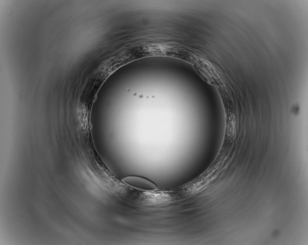 X0000099410477200805091223