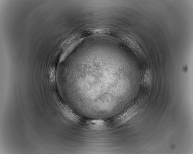 X0000099410478200805091223