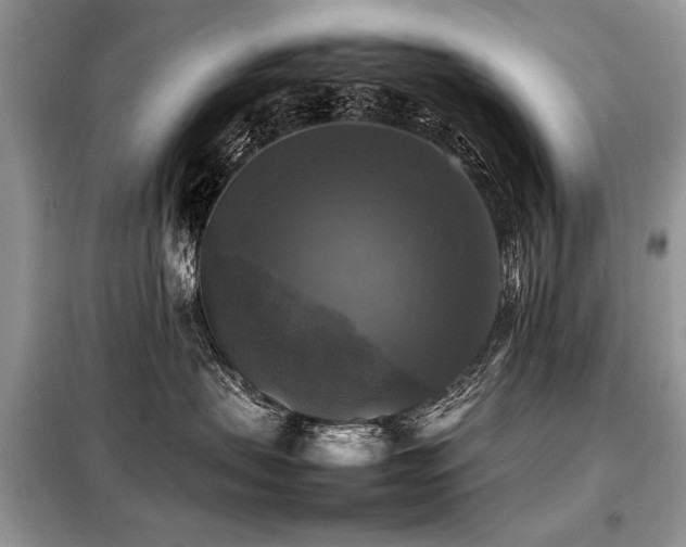 X0000099410479200805091223