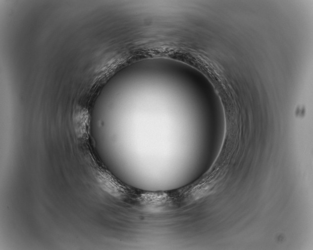 X0000099410480200805091223