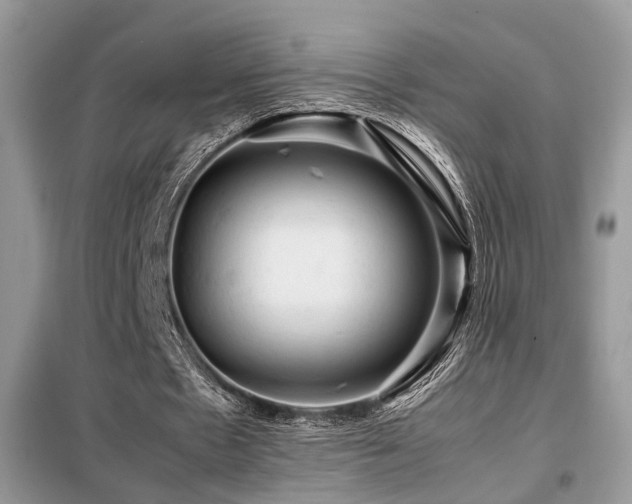 X0000099410481200805091223