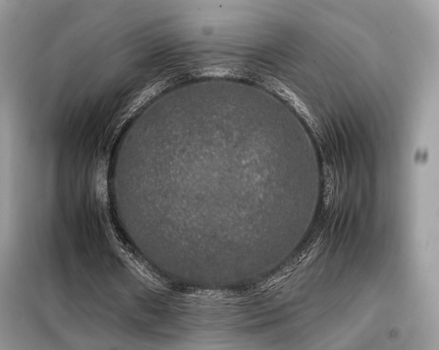 X0000099410482200805091223