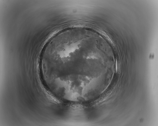 X0000099410483200805091223