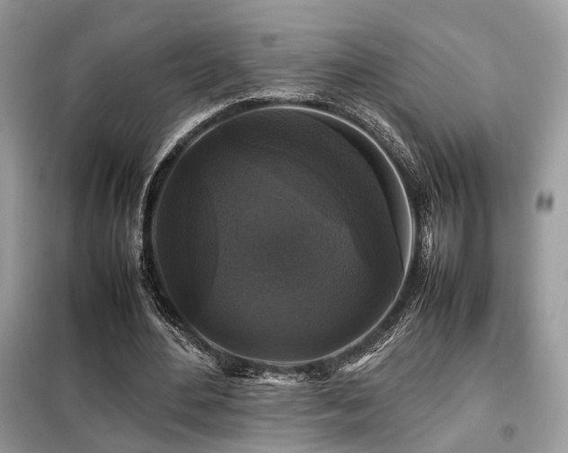 X0000099410484200805091223