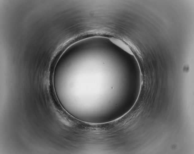 X0000099410486200805091223