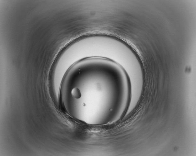 X0000099410487200805091223