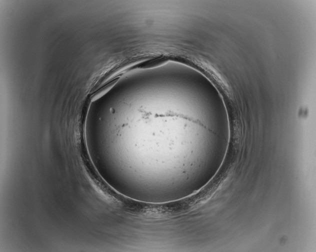 X0000099410489200805091223