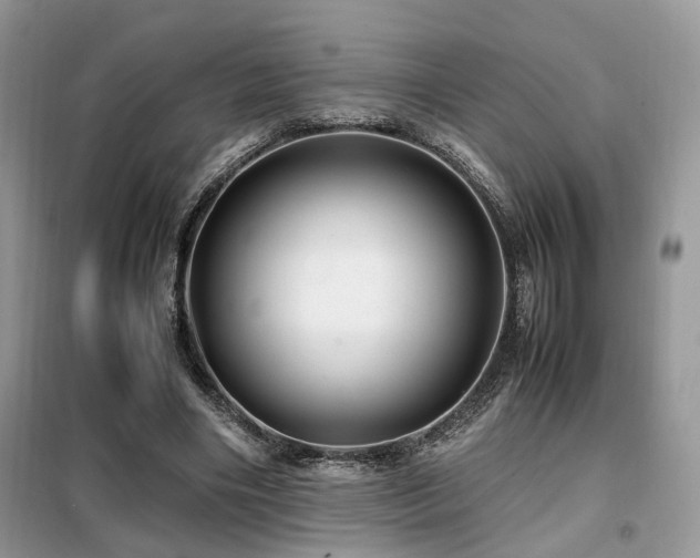 X0000099410490200805091223