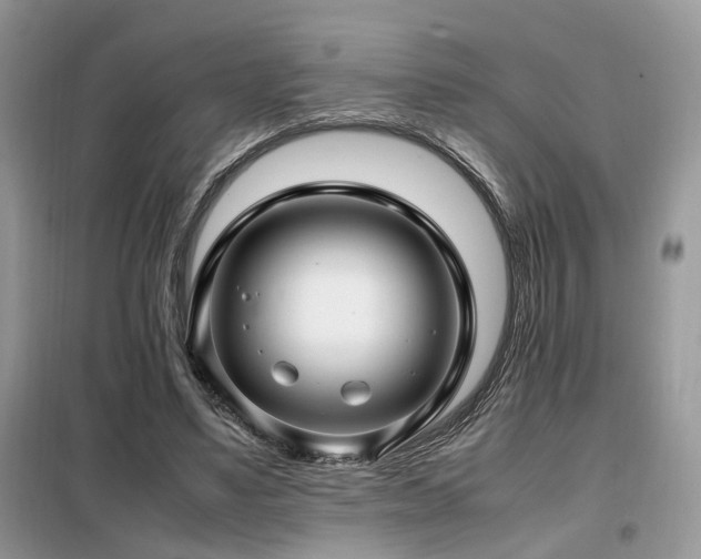 X0000099410491200805091223