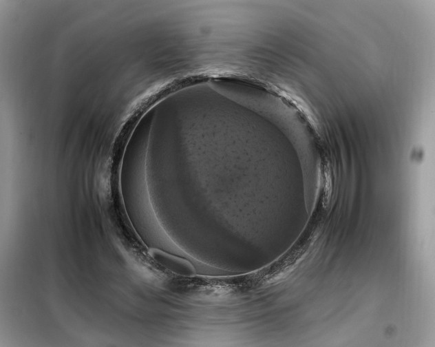 X0000099410492200805091223