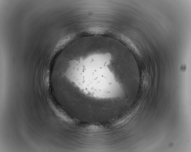 X0000099410494200805091223