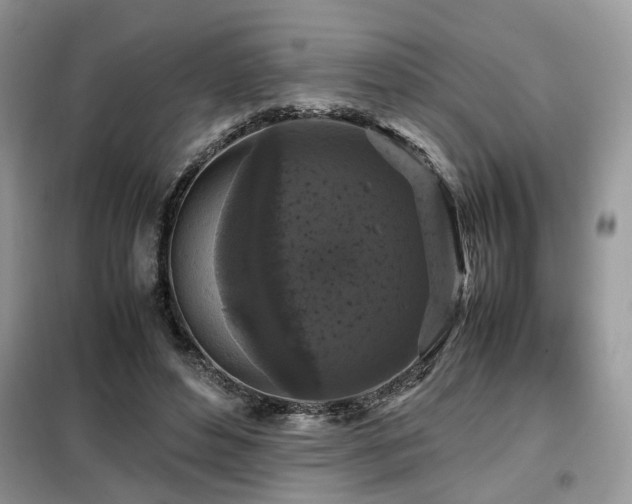 X0000099410496200805091222