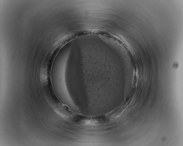 X0000099410500200805091222