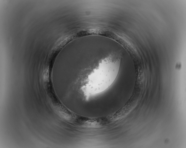 X0000099410502200805091222