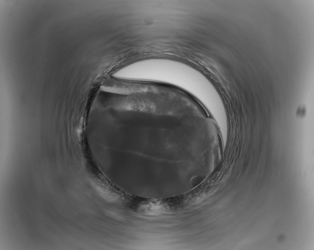 X0000099410503200805091222