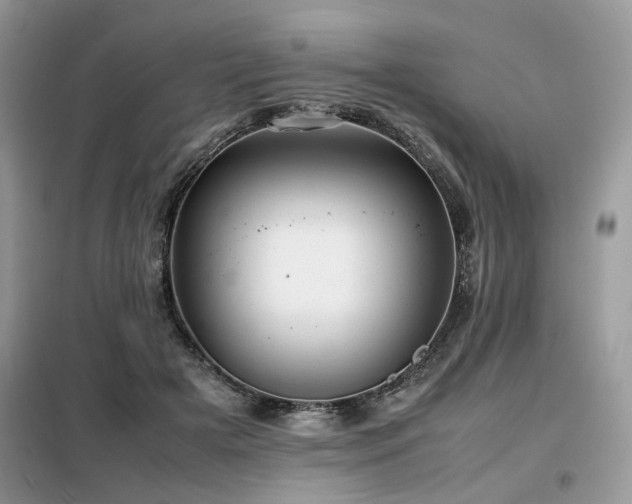 X0000099410505200805091222