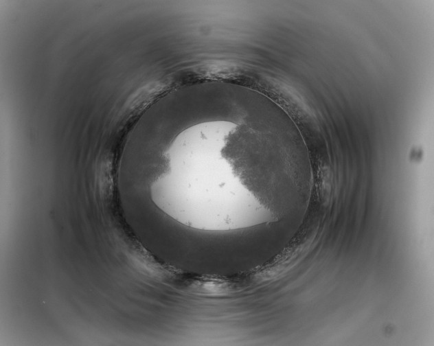 X0000099410506200805091222