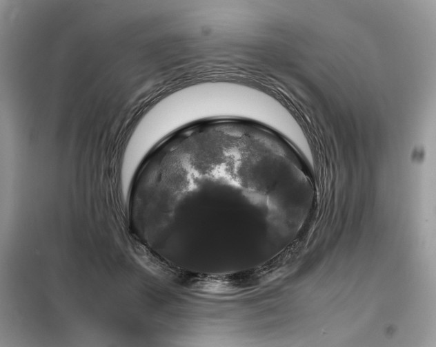 X0000099410507200805091222