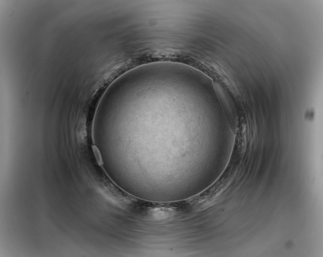 X0000099410508200805091222