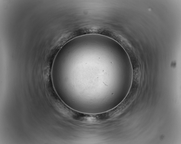 X0000099410509200805091222