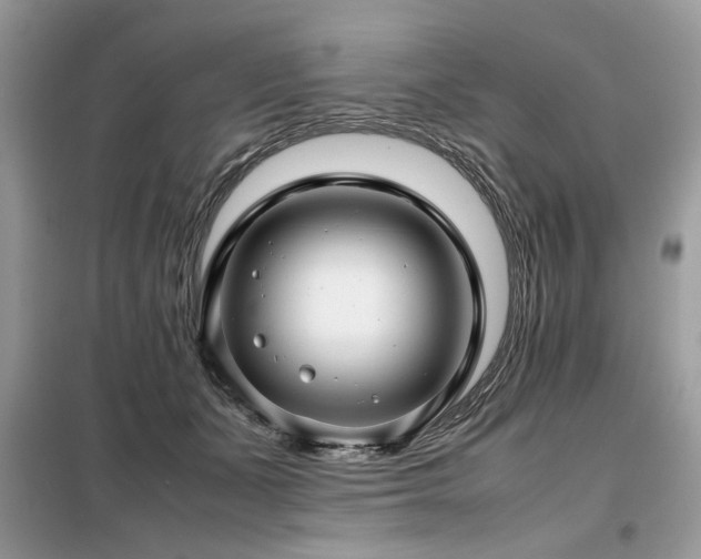 X0000099410511200805091222