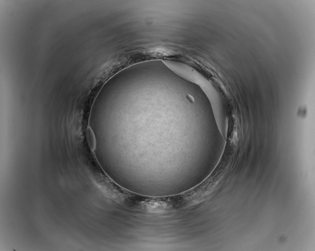 X0000099410512200805091222