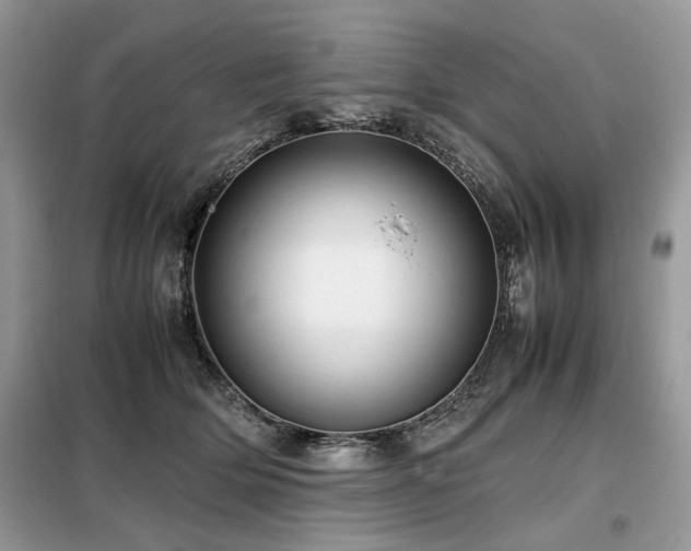 X0000099410514200805091222